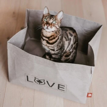 Canadian Cat Company Katzenbett Winnipeg 7 Canadian Cat Company Katzenbett Winnipeg – Bild 7