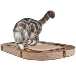 Canadian Cat Company Katzenspielplatz PlayPlate Braun -Haustier Lieferungen 503b050ded03a798fae5907e5e6ab62ea486daec 1345686 de DE ba93f7f713eb46bccf87a135aca2b7d10f0f1847E0hi8m