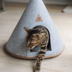 Canadian Cat Company Katzenzelt Cone -Haustier Lieferungen 5109d27ef761061b6b743871ab0498da3478f504 1394210 de DE f112ffaf078c6f8bf03764511a0d90aab2c21021HdDAgd