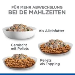Hill's Science Plan Healthy Cuisine Adult Chicken & Beef Ragout 12x90 G -Haustier Lieferungen 51386db4971621d82b7115978985a02bdaee241f 1386414 de DE hills 1