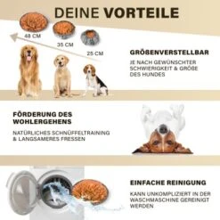 URBAN PAUL Schnüffelteppich - Grau 11 URBAN PAUL Schnüffelteppich - Grau -Haustier Lieferungen 52a57a465e43989eb626f909380e9a43fc6d422f 1477265 de DE 2e0326d2412135da4b4dbf18500c90d40ebe94e0B4HI12