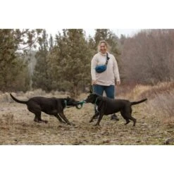 Ruffwear Pacific Ring™ Spielzeug Blau/ Türkis 14 Ruffwear Pacific Ring™ Spielzeug Blau/ Türkis -Haustier Lieferungen 55dba30b9a5e3fc77d29bb72e0dc6fad83c40ffc 1444351 de DE 8a3b2d989e7fae2c85eabfcfca3bb7709484f9a3jKDH9l