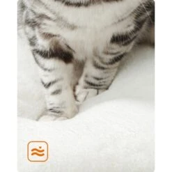 FEANDREA Kratzbaum 86cm Vintagebraun Dunkelgrau -Haustier Lieferungen 59c8f7dbe684955dce05fd55642a4efbe0124a91 1483574 de DE cb5b6b9bf568cfcabae2338f3d74a869baf9bd1cxK0b3y