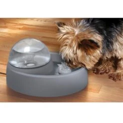 Numaxes Eyenimal Trinkbrunnen 1,5l -Haustier Lieferungen 612512ae3e55fd25731acfc2a0abcdc5bfeba8fb b7754bc2b320ccef10b70045a810474d6996a8cb