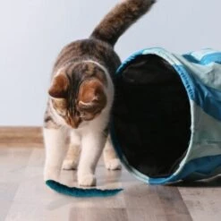 Kater Kasimir 3 Handgerollte Filzwürmchen Aus Schurwolle + 1 Mini-Flasche Katzenminze-Spray -Haustier Lieferungen 628f7d1d4ec1f70990cd24d861db16d7b447278c 1409266 de DE e1034005335ef5de37662c8ab367f77b33e0f5830ItxtL