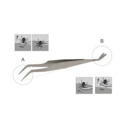 Lills Zeckenzange Aus Edelstahl 7 Lills Zeckenzange Aus Edelstahl -Haustier Lieferungen 666f3a3fb181b232ac8339dfb19af759aa845978 1488086 de DE f0e508c7b7855d95e1b35fa6dabdb0d0ba4555f76ECWsn