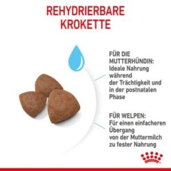 ROYAL CANIN Medium Starter 15 Kg -Haustier Lieferungen 6679a3b2bdb7a15a7a249f4fa1a6163b4dfd2e51 f6d1aa2f2e73ece1ddeaaf947b0214ea4e0e5123