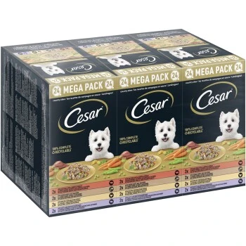Cesar Multipack Landragout 24x150g 1 Cesar Multipack Landragout 24x150g