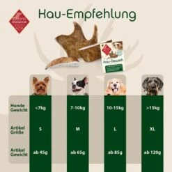 ChronoBalance Kaugeweih Damhirsch (S) 2er Paket -Haustier Lieferungen 66dad232a7a3277a8c2b14c2f9028958861bcd91 1418695 de DE 9d0fae21483906190d35a659049e257a0043b15en4pXJB