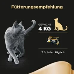 Sheba Selection In Sauce 32x85g -Haustier Lieferungen 67890fa30c253ae14afae90d7afce36bf2d4bf55 f3d10d4a2b41518df483944aaa4f3a790f15504c