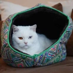 Canadian Cat Company Katzentunnel COSMO M -Haustier Lieferungen 67f448259cbca2b76f0f056d6321e3f462cbbfb2 1412665 de DE 5bb2b25340ddb934c05b11da4b3410ce26fcf1f8fEc8B6