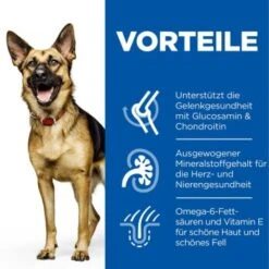 Hill's Canine Active Longevity Mature Adult 6+ Senior Large Breed 14 Kg 11 Hill's Canine Active Longevity Mature Adult 6+ Senior Large Breed 14 Kg -Haustier Lieferungen 6aef2dc6c63c040d4fa47f8a4eb80d66def76689 52742025926 4