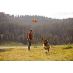 Ruffwear Hydro Plane™ Spielzeug M Orange -Haustier Lieferungen 6c9ac29fa7d73ad253d4123b773ec20640d06d12 1364300 de DE ce775489b1cdb84c08a4d820ead0b379f4bcb101D51cd4