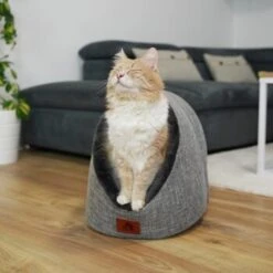 Schlitzohr Katzenhöhle Oskar Grau 18 Schlitzohr Katzenhöhle Oskar Grau -Haustier Lieferungen 6dc322d0c0c691311c750126461acbb0bfd7f106 1484676 de DE cf48f7f4d140da3e59fb3189e3029debd29d4937tKSJNT