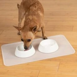 KaraLuna Basic Napfunterlage Transparent S 13 KaraLuna Basic Napfunterlage Transparent S -Haustier Lieferungen 6f92b46b9666870298738b4bee75a50ee534fac6 1407499 de DE 14497c23a79b7136237df13f9c32b5ed84fd5ff04vyZgl