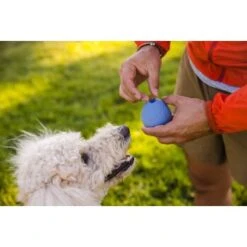 Ruffwear Turnup™ Spielzeug Violett 12 Ruffwear Turnup™ Spielzeug Violett -Haustier Lieferungen 708e59a1fbc9e9a4e5a251230d3a5a466a41cd46 1639873 de DE aed329193f910634e544626b706606bf1d9a42e0yMTSe3