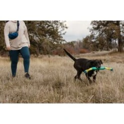 Ruffwear Pacific Loop™ Spielzeug -Haustier Lieferungen 7264c2cc31aa0d30d3f0984b09558fac21cfd8ea 1639908 de DE 397ef347a3dbb466170754a244315dc4683b11d6CN5C6X