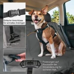 Kurgo Wander Rücksitz-Autoschondecke Hunde, Grau -Haustier Lieferungen 726d58caeb6842b9c196c6f8d2427b3ea95f6687 1335890 de DE 7a7d0411ff0f2559f049a99649829857b23e271c33vw1K