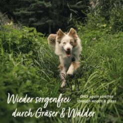 Aniforte Z-Season Snack 350g -Haustier Lieferungen 73a9c702b62350d9977522526f40b2f15ac1a87b 1495364 de DE a9f698c76a12bd39e549344514374e4b07a0f5b8wxpq6a