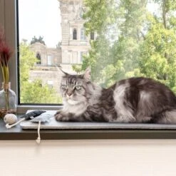 Canadian Cat Company Filzmatte Für Fensterbank Hellgrau S -Haustier Lieferungen 7885f06a61233bc404e6a3aa7f8cd882fde8d497 1498575 de DE 613cf8659fcca6edb1e226239a406f420c510b04Tro7m3