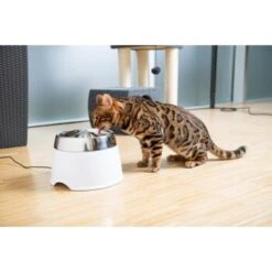 AniOne Edelstahl-Trinkbrunnen Trevi Ohne Ersatzfilter -Haustier Lieferungen 7a066af048695bbfaeca0a855e5984fc3bf99d03 689fcf415d486ac05c07f2a4868b1d087d7a9ece