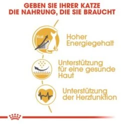 ROYAL CANIN Sphynx Adult 10 Kg -Haustier Lieferungen 7ad1bdc3999349cafae1459c3c182b6552d5adfd b7ee4724e59d51ce320d09e32faae7a8df47303e