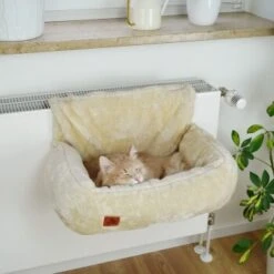 Schlitzohr Heizungsliege Lucky Beige -Haustier Lieferungen 7bab29708c56b6f70695735987b821094f74efb9 1484673 de DE 775053056e82816b2424b888f536a523a0880ea7ZfMupV