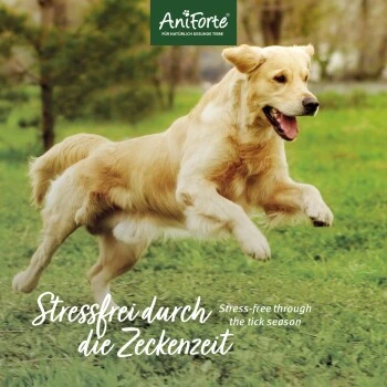 Aniforte Zecken Schild (10 Bis 35kg) Für Hunde 60 Kapseln 4 Aniforte Zecken Schild (10 Bis 35kg) Für Hunde 60 Kapseln – Bild 4