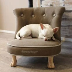 Happy House Sessel -Haustier Lieferungen 7dc69026c1513e8c2585722f3b59ffa57e63bb84 6e63ee9a689b42502c7ce6d515252b9326e9aebf