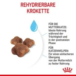 ROYAL CANIN Mother & Babycat 2 Kg -Haustier Lieferungen 7de9161ec8af5d8e5fb59d6589cba97c3ecae1bf 3182550707329 5