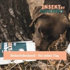 BeG Buddy Trockenfutter Insekten 10 Kg 10 BeG Buddy Trockenfutter Insekten 10 Kg -Haustier Lieferungen 809bc4ff3b44a47ca72efd37dd80bd2ebc8d6768 1457249 de DE 123bfe8a8f9618b3a58ac5efe483c5e0ad6f0bd2L86XLS
