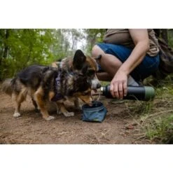 Ruffwear Great Basin™ Napf Schieferblau S 7 Ruffwear Great Basin™ Napf Schieferblau S -Haustier Lieferungen 824b44ccf17c67c3dd43e5523941633c95efed85 1651551 de DE fad827ec7223895423979e3215d64ffaeae47c26HGRUuZ