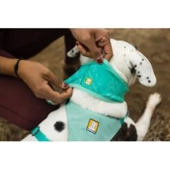 Ruffwear Swamp Cooler™ Kühlendes Halstuch Blau/ Türkis XXS 14 Ruffwear Swamp Cooler™ Kühlendes Halstuch Blau/ Türkis XXS -Haustier Lieferungen 84380b323534f706adb064c5f59bfe1f6f8adfcb 1639914 de DE 09b76313830836f68f333eee06c0a6bd83fbeec4Hirkw3