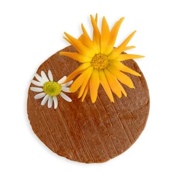 Eat Small Shampoo HEALTHY SKIN 1 Eat Small Shampoo HEALTHY SKIN