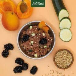 Aniforte Ente 2,4 Kg 14 Aniforte Ente 2,4 Kg -Haustier Lieferungen 8935a7450ab8ddc34729bfe6098b06abc30af9cb 1422204 de DE 9202deb0f72c6fb6a090e358d9de03093d55392085KOyC