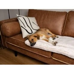 TrendPet Harmony Gefütterte Liegedecke Creme XS -Haustier Lieferungen 8a90b0a9111c9f8c3102709bd3f96183b3562c59 1390614 de DE 76a51ca8d6aad29feaec164f24c0d781c9ed8ce7YdJOW0