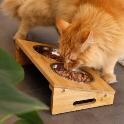 Lionto Futterstation Mit Bambusgestell 7 Lionto Futterstation Mit Bambusgestell -Haustier Lieferungen 8c56991d507e18b3df4a2f4045dbd93cd3bd9353 1665980 de DE aa6482f6e46fc6375e62da8010ac0599c0ca4960aJFeP6