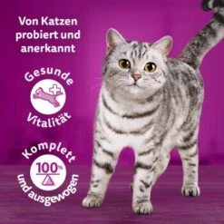 Whiskas Tasty Mix Multipack Chef's Choice In Sauce 40 X 85g -Haustier Lieferungen 90c69f8b60998b1e42a320aa3c632d7b173d2464 1410720 de DE Whiskas 7