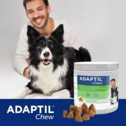ADAPTIL Chew 30 Stück Anti Stress Snack -Haustier Lieferungen 911ab9810720a965c25ffa3f6d5ebbcc45da40d1 1374744 5