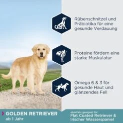 EUKANUBA Breed Specific Golden Retriever 12 Kg -Haustier Lieferungen 93835751c2540e664fdb559735421479521b3a8c 4a6f1ea9cd1f2216ab5b192d19420793b787e2e0