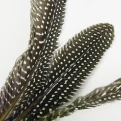 Schlitzohr Katzenangel Federanhänger 5x 16 Schlitzohr Katzenangel Federanhänger 5x -Haustier Lieferungen 93b8e0c984d323f24d455bf8e74e2dbacef5703e 1484675 de DE 7b80f213f44ebcad765dbdebc25bf2d2f0177dbd64kHU2