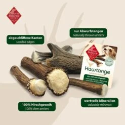 ChronoBalance Geweih Halbiert (L) 2er Paket -Haustier Lieferungen 93d612893bcbb2472cebfda9824ce212dec49cee 1418687 de DE 902a389be4b99eb60431c66affbaefe4377d76892JxzWu