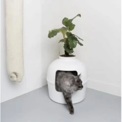 RHR Quality Katzentoilette Flower XXL -Haustier Lieferungen 93f503e3b5e2d21cc0461e97d9127562df0337e6 1641853 de DE 1e822790dd4545375dbf65f839e659bd6b299a76bokJue