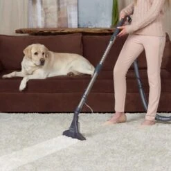 THOMAS DryBox Amfibia Pet -Haustier Lieferungen 9953282c61e03abd8b9e8af05edae29417570062 1406734 de DE 1c8fb73e21f9aae62063930fedd2d58afb94e8aanSOWPf