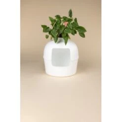 RHR Quality Katzentoilette Flower XXL -Haustier Lieferungen 9a175089ef2e18d9c2c6261d746d3512930c312f 1641853 de DE fe53414878bfaf3647b8be741b079914a6bd2e93iOsifJ