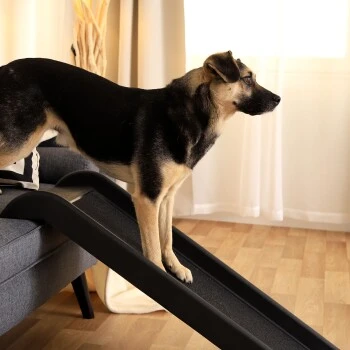 Lionto Hunderampe S 3 Lionto Hunderampe S – Bild 3