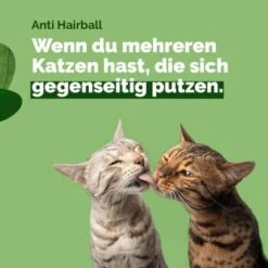Almo Nature Almo Holistic Anti-Hairball 30x70g Mit Huhn -Haustier Lieferungen 9a54cc0b5b16a66888a5cf0f14d45fa382294bc6 1479696 3 de