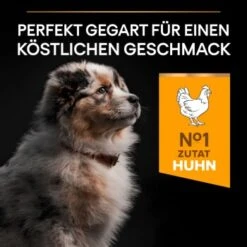 PRO PLAN Optistart Medium Puppy 3 Kg 15 PRO PLAN Optistart Medium Puppy 3 Kg -Haustier Lieferungen 9a92408e2d341a6cc1d3dde9b2f9e7aec56b8319 1206411 8