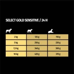 SELECT GOLD Sensitive Senior Huhn & Reis 10x125 G 7 SELECT GOLD Sensitive Senior Huhn & Reis 10x125 G -Haustier Lieferungen 9a9b501c74c535f7c6ecd84b05c7d0a1cc9e30a4 1246280 de DE 7