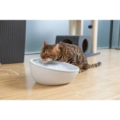 AniOne Keramik-Trinkbrunnen Waterfall Weiß Ohne Ersatzfilter 10 AniOne Keramik-Trinkbrunnen Waterfall Weiß Ohne Ersatzfilter -Haustier Lieferungen 9ab78e65ebaf72b76c537cd735c5a7cd6cd4d027 a897eca6393f48ff54c98954a2b189a96196cfbd